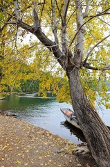 DSC_6960.jpg
