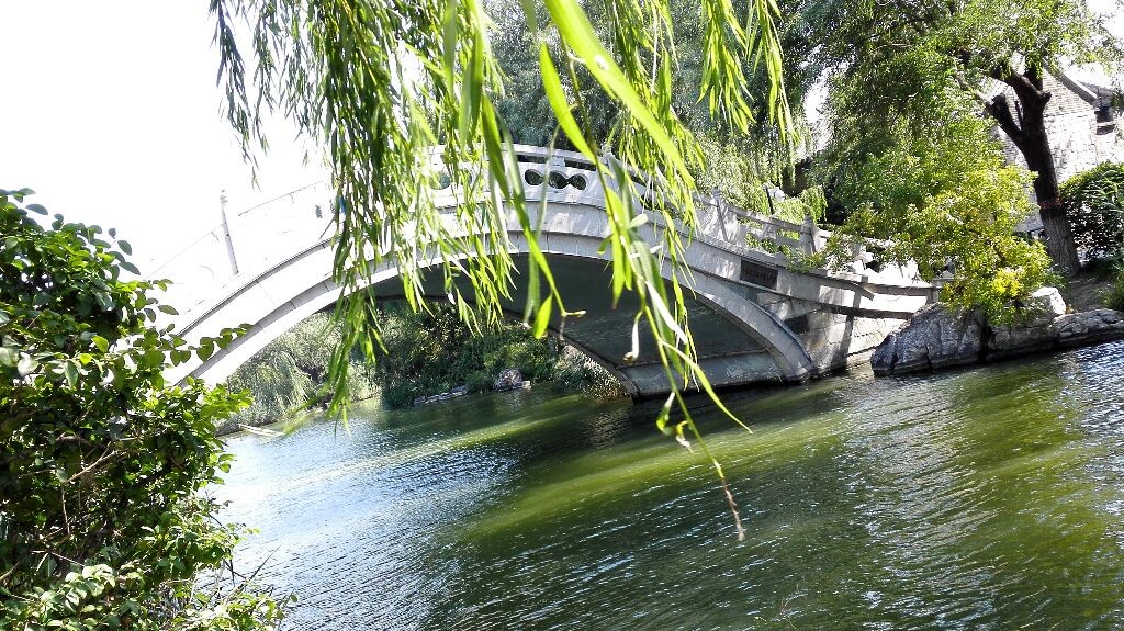 秋天的大明湖,昔日的夏雨荷。
