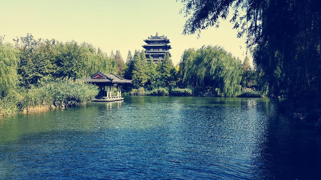 秋天的大明湖,昔日的夏雨荷。