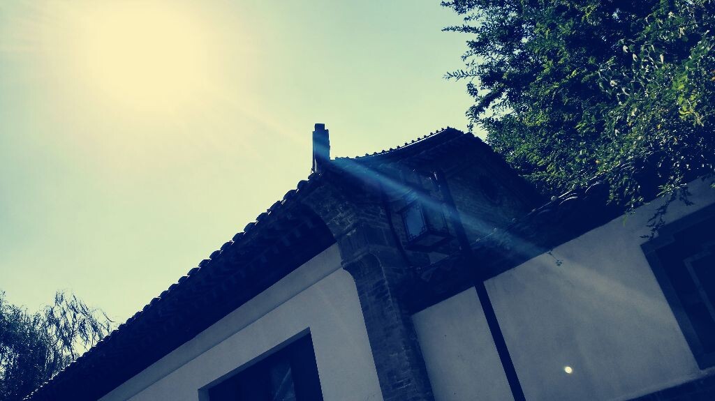 秋天的大明湖,昔日的夏雨荷。