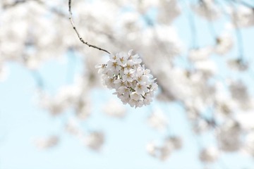 _MG_7830.jpg