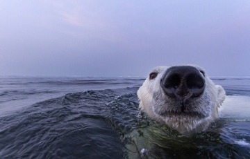paulsouders3