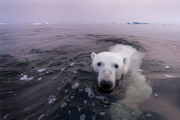 paulsouders5