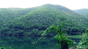 IMG_0375.jpg