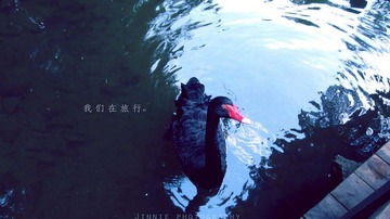 IMG_0383副本.jpg