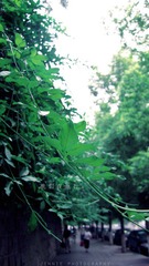 IMG_0433副本.jpg