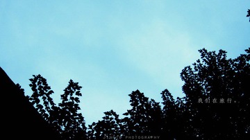 IMG_0448.jpg