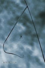 DSC_1441kb.jpg