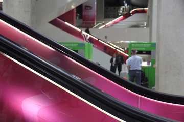 IMG_3342.JPG