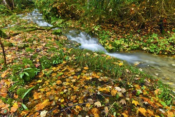 IMG_3680.JPG