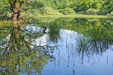 IMG_3705.JPG