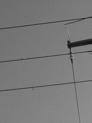 D5E77A02-3CB6-41EB-B52B-B29C88403796/L0/001