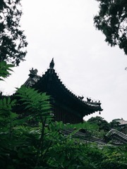 D69737B2-6AEA-4C5B-A6A3-97C80146E1A5/L0/001
