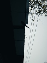 B980B439-9D07-44E6-81D5-6E9F65A8AF27/L0/001