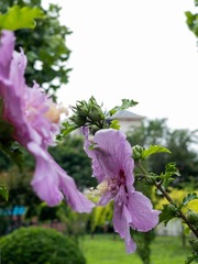 E89DF48F-703E-4538-9AD7-72233BA6C0E3/L0/001