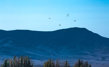 _G8A8680