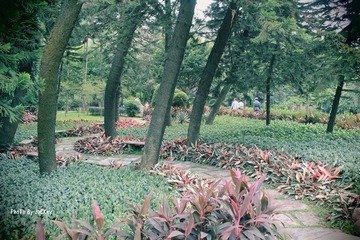 IMG_1805lomo加签名.jpg