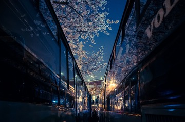 Optional( (13)