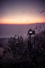 _DSC5802
