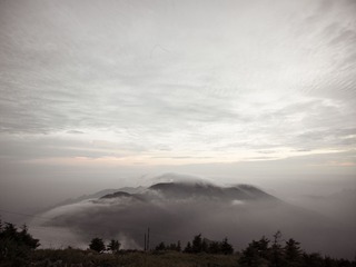 CF001220