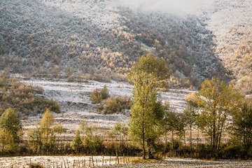 _DSC1431-2