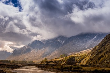 _DSC1471