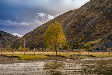 _DSC1610