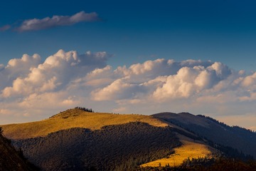 _DSC1755