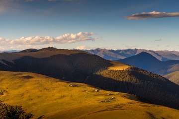 _DSC1756