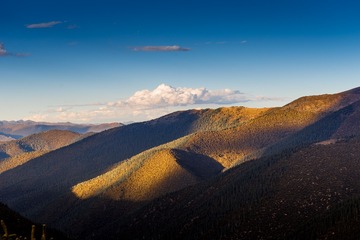 _DSC1764