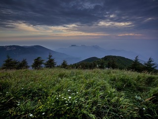 CF001205-2