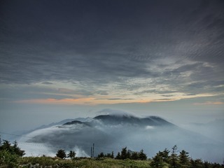 CF001220
