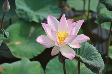 DSC_0126.jpg