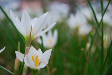 DSC_7034.JPG