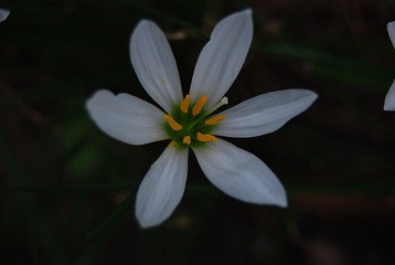 DSC_7042.JPG