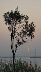 DSC05994.JPG