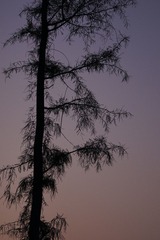 DSC06091.JPG