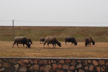 DSC_8922.JPG