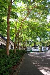 20150821-IMG_4832