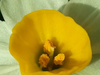 20150209_132135