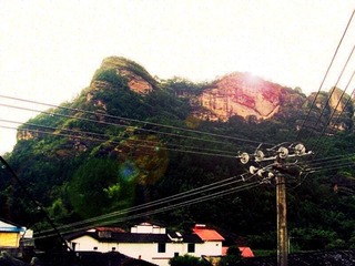 SNV37340_副本.jpg