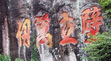 SNV37467.JPG