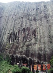 SNV37471.JPG