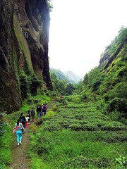 SNV37537.JPG