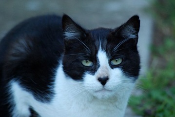 DSC_00270006.JPG