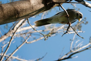DSC_3246.jpg