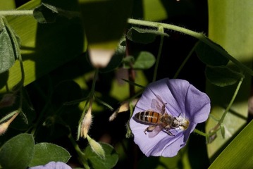 DSC_3190.jpg