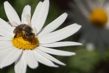 DSC_3192.jpg