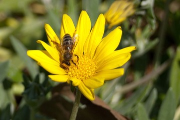 DSC_3195.jpg