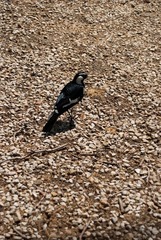 DSC_3197.jpg